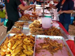 Thailand2009-OddsAndEnds-012